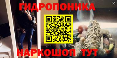 прущие грибы Аргун