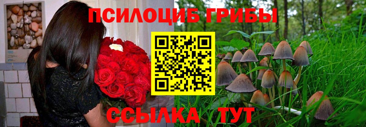 Псилоцибиновые грибы Psilocybine cubensis  Галлюциногенные грибы мухоморы  Белореченск  Вход с VPN 