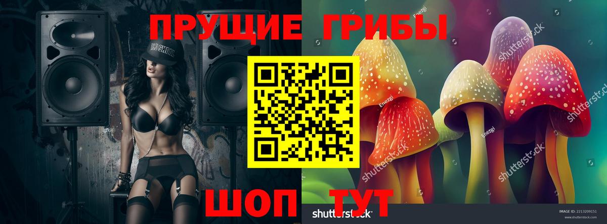 Псилоцибиновые грибы Psilocybe Белореченск
